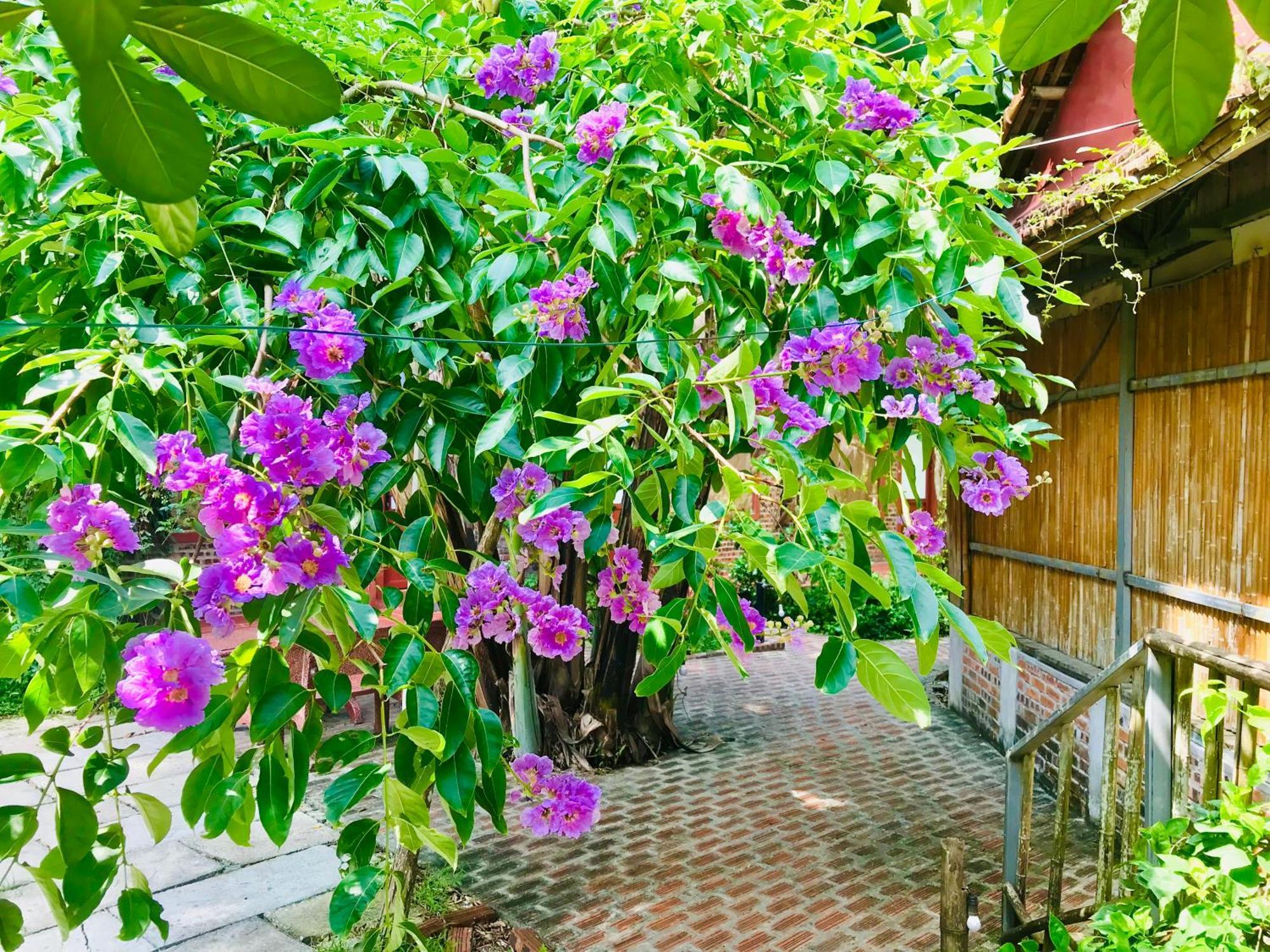 Lake Retreat Ninh Bình Ngoại thất bức ảnh