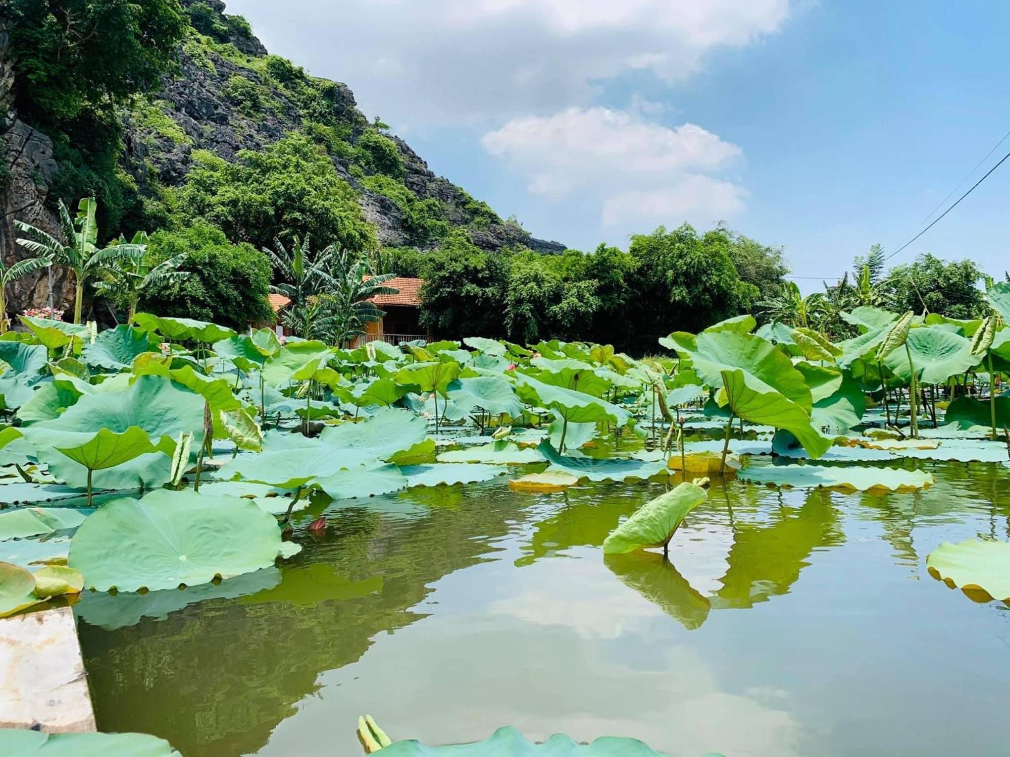 Lake Retreat Ninh Binh Hotel Ngoại thất bức ảnh