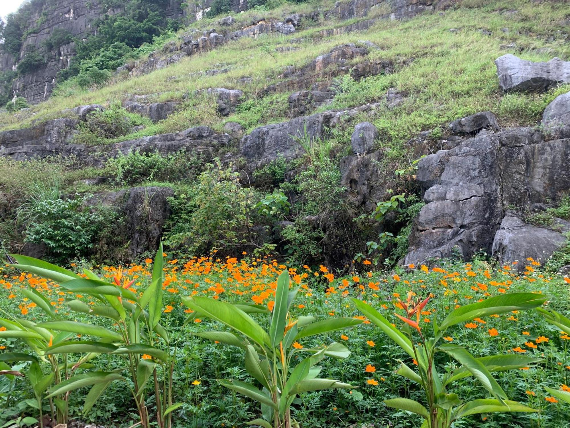 Lake Retreat Ninh Bình Ngoại thất bức ảnh